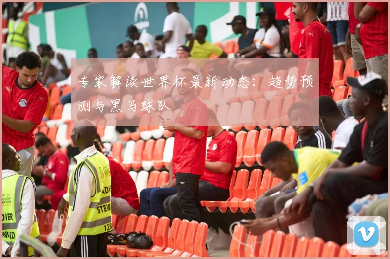 专家解读世界杯最新动态:趋势预测与黑马球队